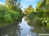 2654 Glendonbrook Road, Gresford, NSW 2311-Image