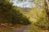 269 Upper Brookfield Road, Upper Brookfield, Qld 4069-Image