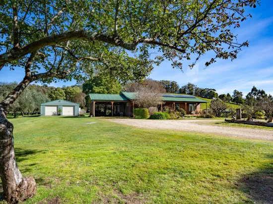 26905 Tasman Highway, Goshen, Tas 7216