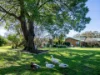 26905 Tasman Highway, Goshen, Tas 7216-Image
