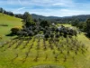 26905 Tasman Highway, Goshen, Tas 7216-Image