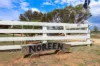 27 Felton Drive, Murray Downs, NSW 2734-Image