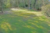 27 Wayfield Road, Glenhaven, NSW 2156-Image