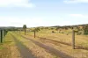 270 Ogradys Road, Kilmore East, Vic 3764-Image