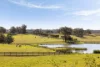 270 Rapleys Loop Road, Werombi, NSW 2570-Image