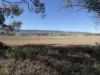 271 Nelshaby Road, Napperby, SA 5540-Image