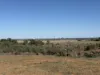271 Nelshaby Road, Napperby, SA 5540-Image