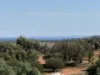 271 Nelshaby Road, Napperby, SA 5540-Image