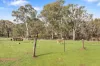 272 Curragh Road, Trunkey Creek, NSW 2795-Image