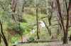 272 Curragh Road, Trunkey Creek, NSW 2795-Image