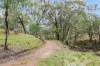 272 Curragh Road, Trunkey Creek, NSW 2795-Image