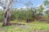 272 Curragh Road, Trunkey Creek, NSW 2795-Image