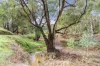 272 Curragh Road, Trunkey Creek, NSW 2795-Image