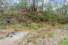 272 Curragh Road, Trunkey Creek, NSW 2795-Image