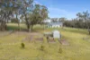 273 Tugalong Road, Canyonleigh, NSW 2577-Image