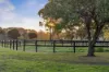 275 Mornington-Tyabb Road, Moorooduc, Vic 3933