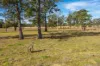276 Aldavilla Road, Aldavilla, NSW 2440-Image