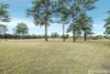 276 Aldavilla Road, Yarravel, NSW 2440-Image