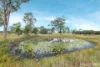 276 Aldavilla Road, Yarravel, NSW 2440-Image