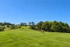 277 Coopers Shoot Road, Coopers Shoot, NSW 2479-Image