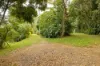 279 Lawnville Road, Black Mountain, Qld 4563-Image