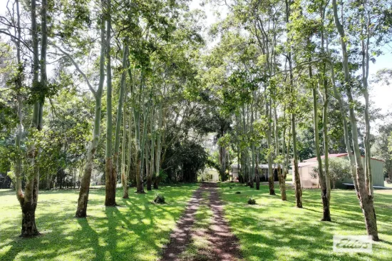 28 Imrie Close, Lake Eacham, Qld 4884