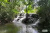 28 Imrie Close, Lake Eacham, Qld 4884-Image