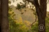 28 Lamis Place, Brigadoon, WA 6069-Image