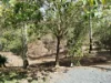 28 Malcolm Close, Mareeba, Qld 4880-Image