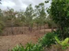 28 Malcolm Close, Mareeba, Qld 4880-Image