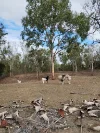 28 Malcolm Close, Mareeba, Qld 4880-Image