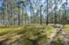 280 Florda Red Drive, Lanitza, NSW 2460-Image