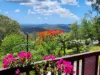 283 Mossybank Road, Eudlo, Qld 4554-Image