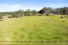 2848 Princes Highway, Moruya, NSW 2537-Image