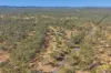 2850 Dawson Highway, Calliope, Qld 4680-Image