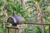 286 Ilkley Road, Ilkley, Qld 4554-Image