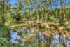 2882 Paynes Crossing Road, Wollombi, NSW 2325-Image