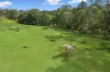 289 Hunchy Road, Hunchy, Qld 4555-Image