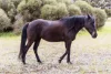 29 Min Oil Road, Nepean Bay, SA 5223-Image