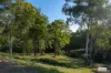 290 Black Range Road, Black Range, NSW 2550-Image