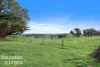 290 Mount Vernon Road, Berrys Creek, Vic 3953-Image