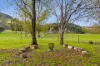 290 Riverlea Road, Mudgee, NSW 2850-Image