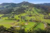 290 Riverlea Road, Mudgee, NSW 2850-Image