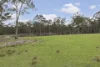 290 Winston Road, Eagleton, NSW 2324-Image