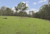 290 Winston Road, Eagleton, NSW 2324-Image