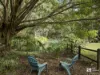 291 Upper Crystal Creek Road, Upper Crystal Creek, NSW 2484-Image