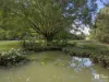 291 Upper Crystal Creek Road, Upper Crystal Creek, NSW 2484-Image