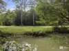 291 Upper Crystal Creek Road, Upper Crystal Creek, NSW 2484-Image