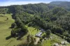 291 Upper Crystal Creek Road, Upper Crystal Creek, NSW 2484-Image