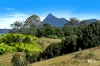 291 Upper Crystal Creek Road, Upper Crystal Creek, NSW 2484-Image